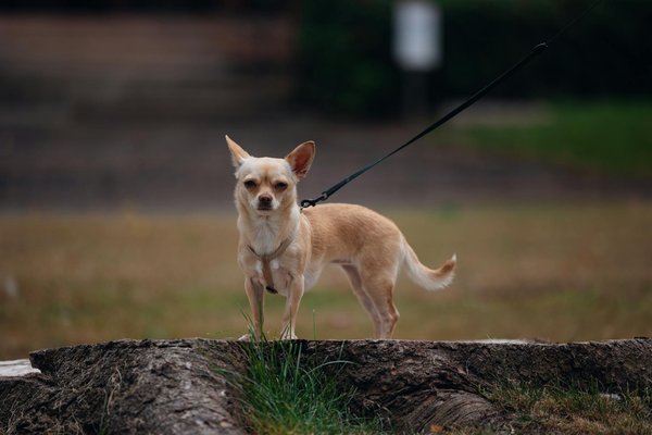 Energieeffiziente Beleuchtung im Altbau: Harmonische Integration leicht gemacht!